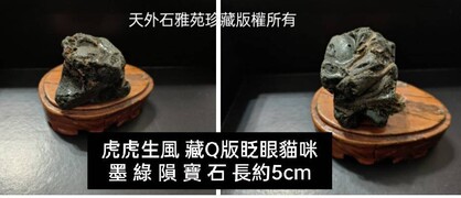 虎虎生風與眨眼貓咪
