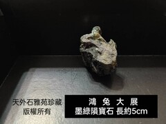 鴻兔大展