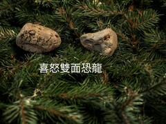 喜怒雙面恐龍