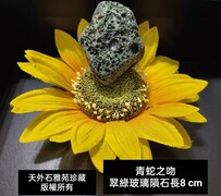 青蛇之吻