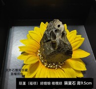 葫蘆蟾蜍展